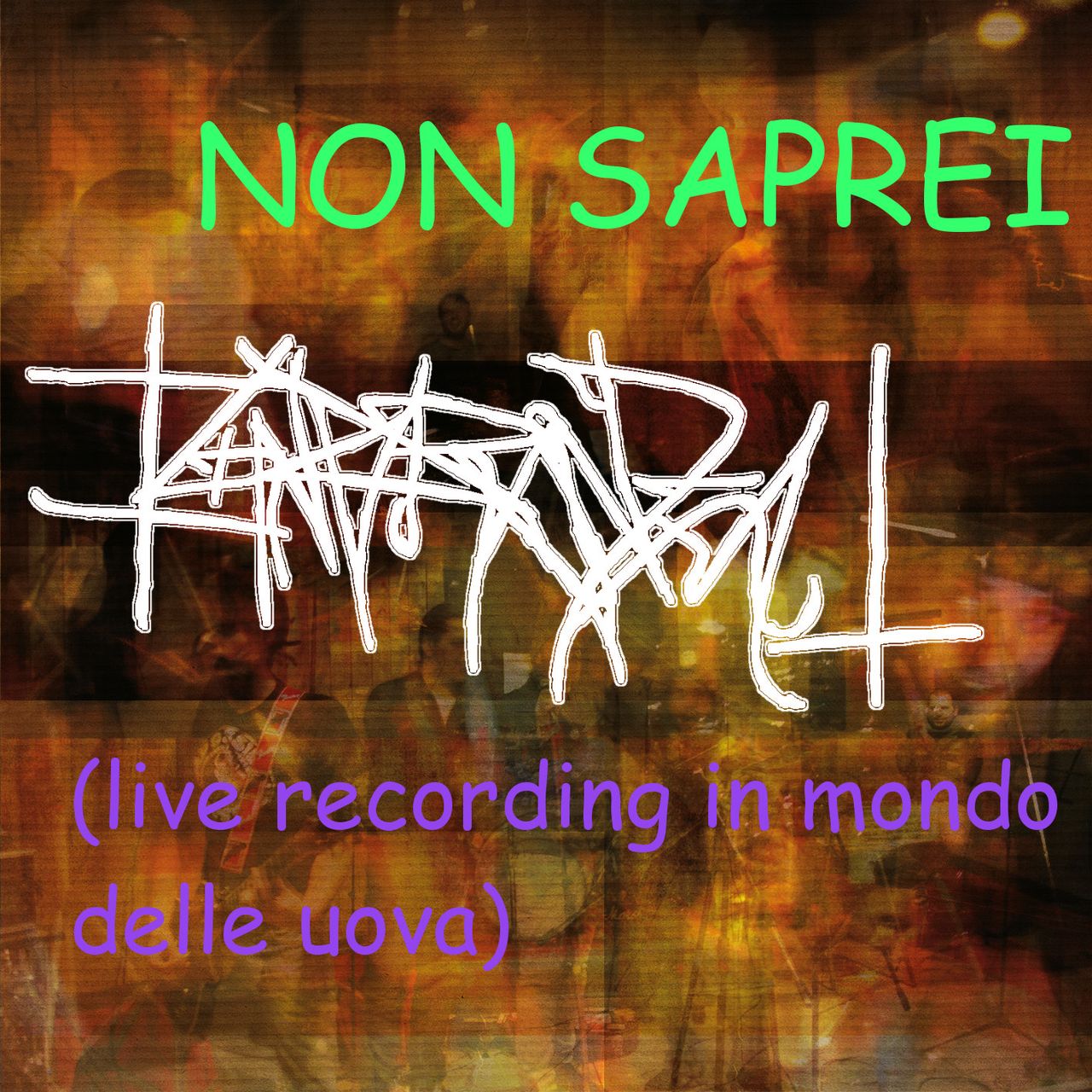 Ignoranza logo and album title, random colors